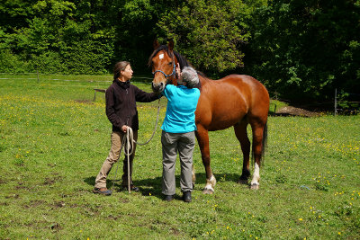 Le Cheval