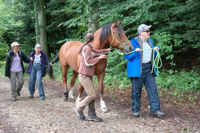 Le Cheval