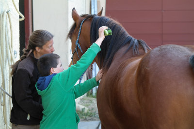 Le Cheval