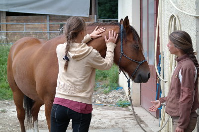 Le Cheval