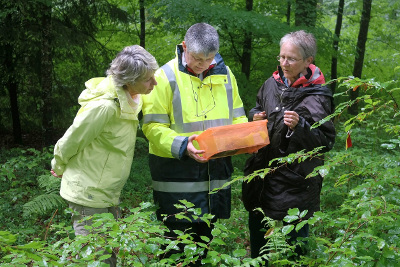 Forêt